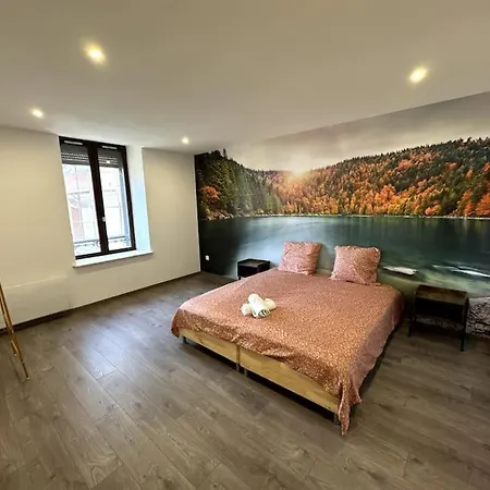 Le Paris-vosges Appartement Épinal