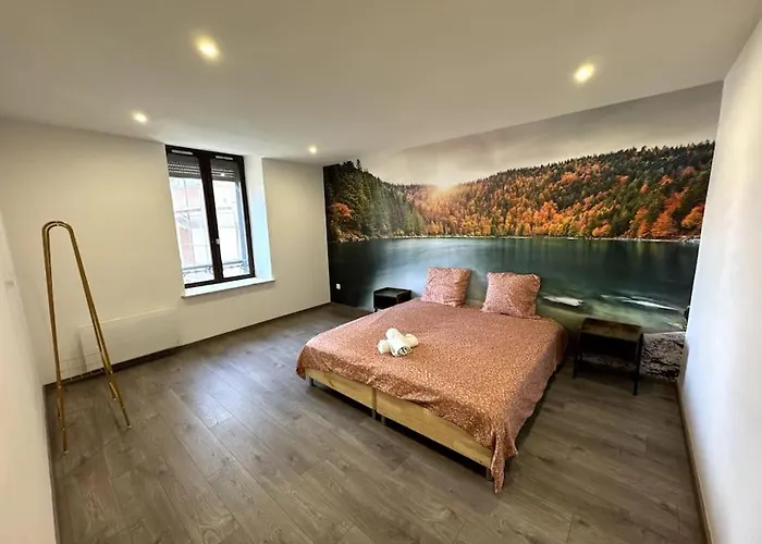 Le Paris-vosges アパート エピナル